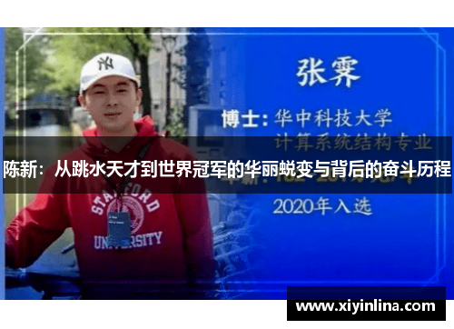 陈新：从跳水天才到世界冠军的华丽蜕变与背后的奋斗历程