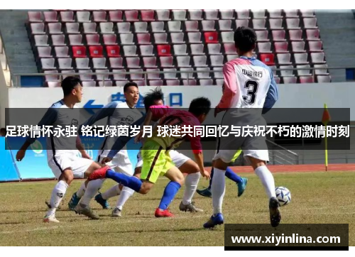 足球情怀永驻 铭记绿茵岁月 球迷共同回忆与庆祝不朽的激情时刻