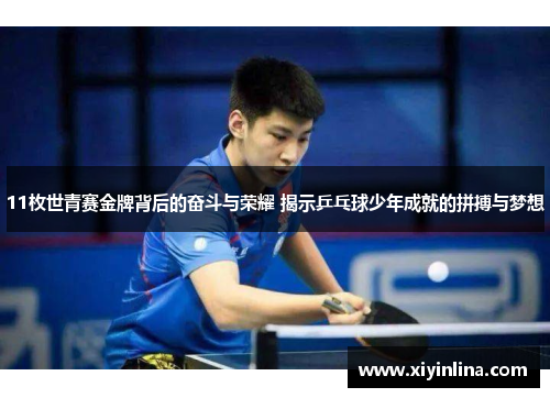 11枚世青赛金牌背后的奋斗与荣耀 揭示乒乓球少年成就的拼搏与梦想