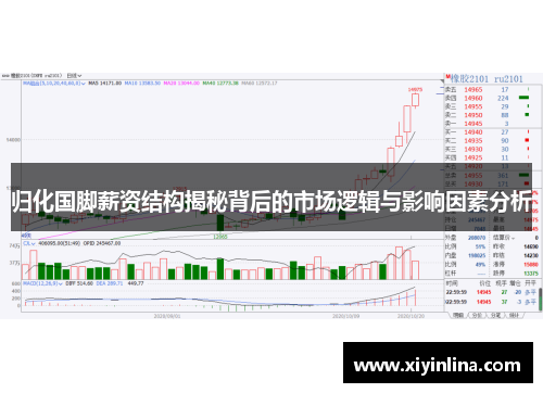 归化国脚薪资结构揭秘背后的市场逻辑与影响因素分析